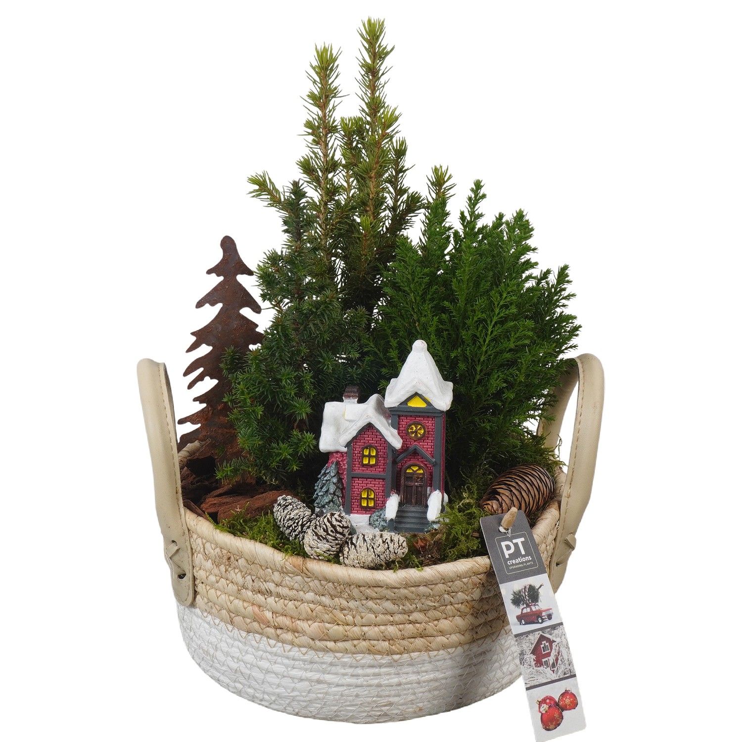 PTCWW6888 Arrangement Winter in rieten mand, D 21 cm