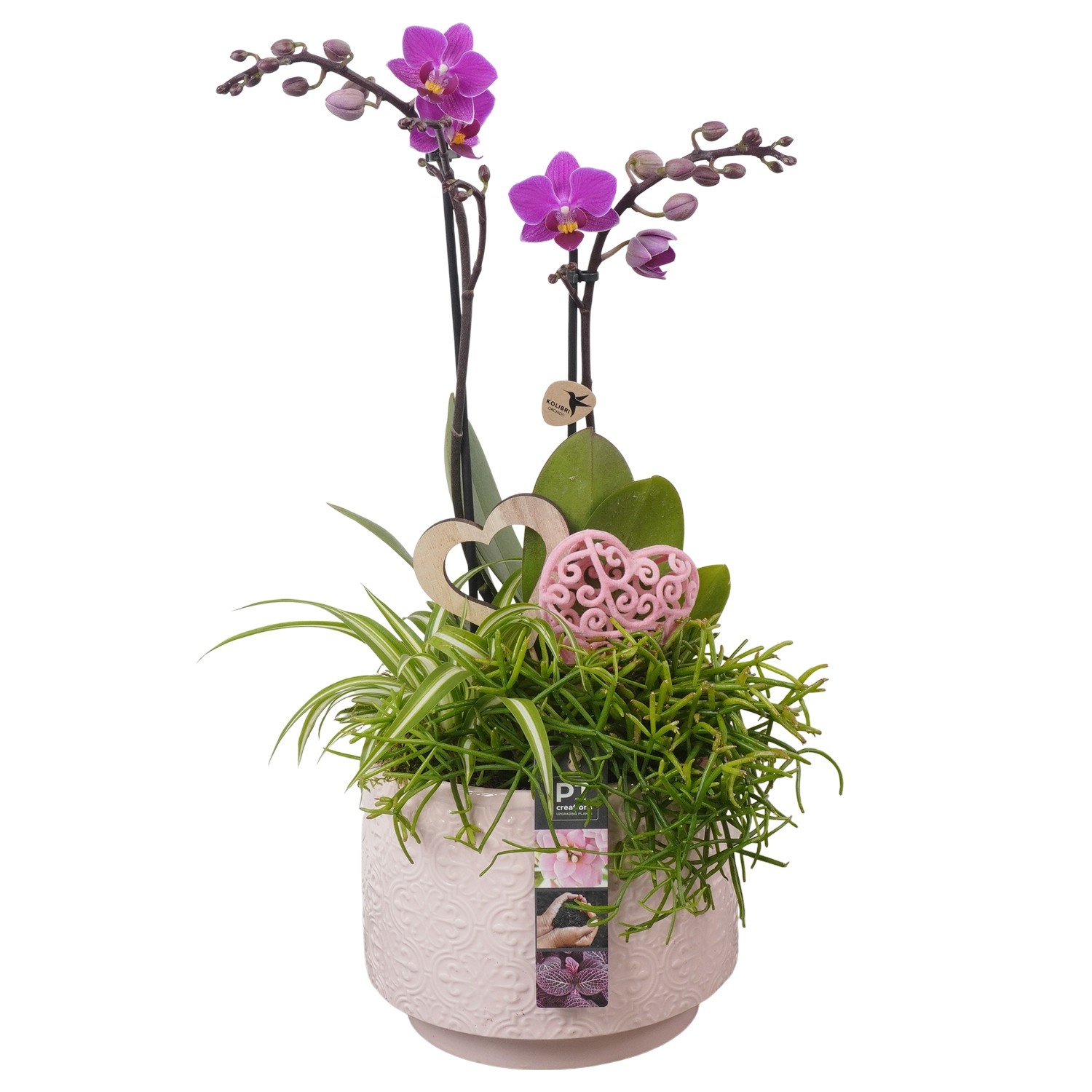 PTVMB2236 Arrangement Valentines-Mothersday in keramiek sierpot, D 17