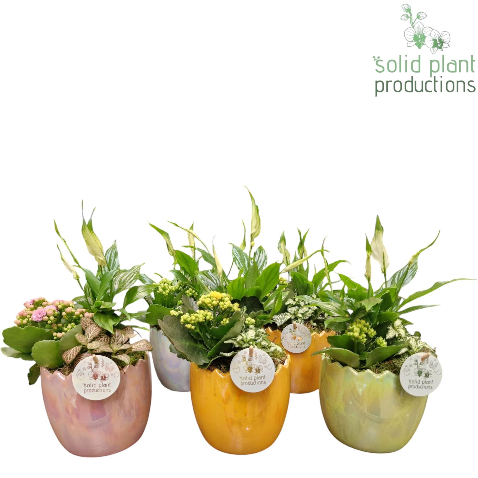 SP008 Eggy Easter Mix, D 15