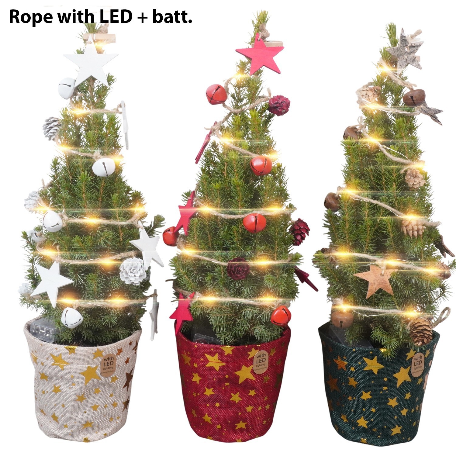 PTK26502 Conica Magnifique in jute potcover mix met LED, D 17