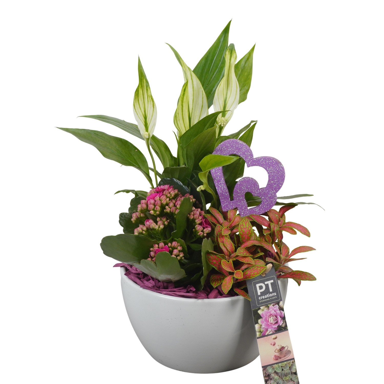 PTVMB2222 Arrangement Valentines-Mothersday in keramiek schaal, D 15