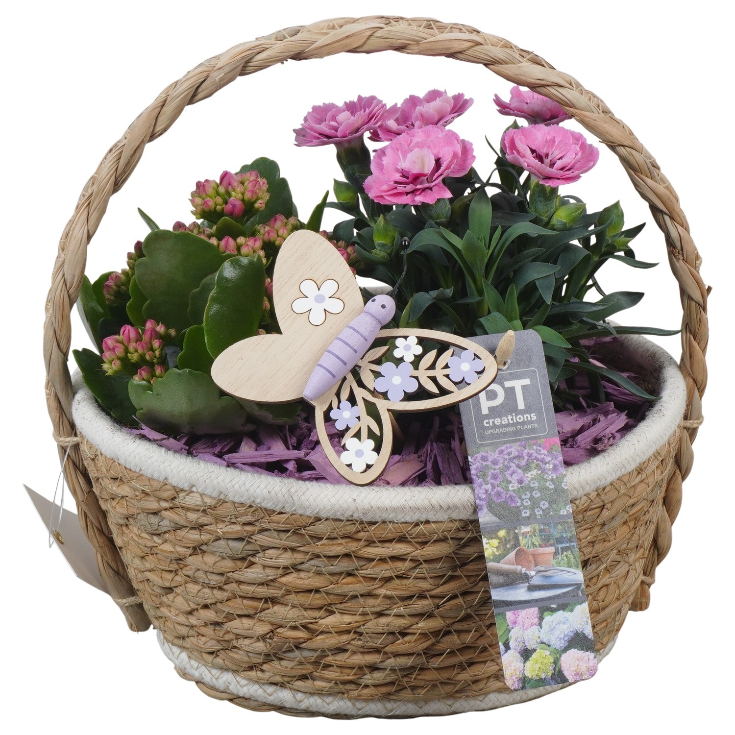 PTPP6945 Arrangement Patio in rieten mand, D 20