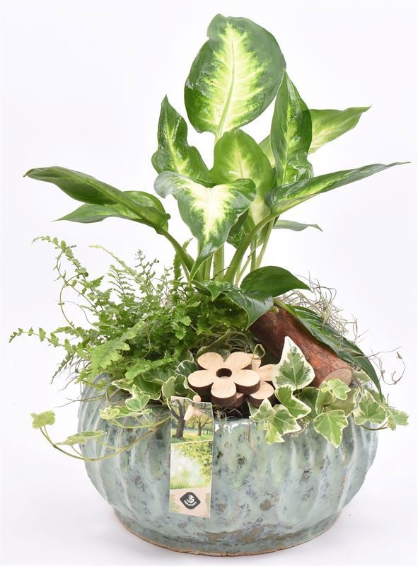 Keramiek schaal gr/bl 17/19cm, D 19