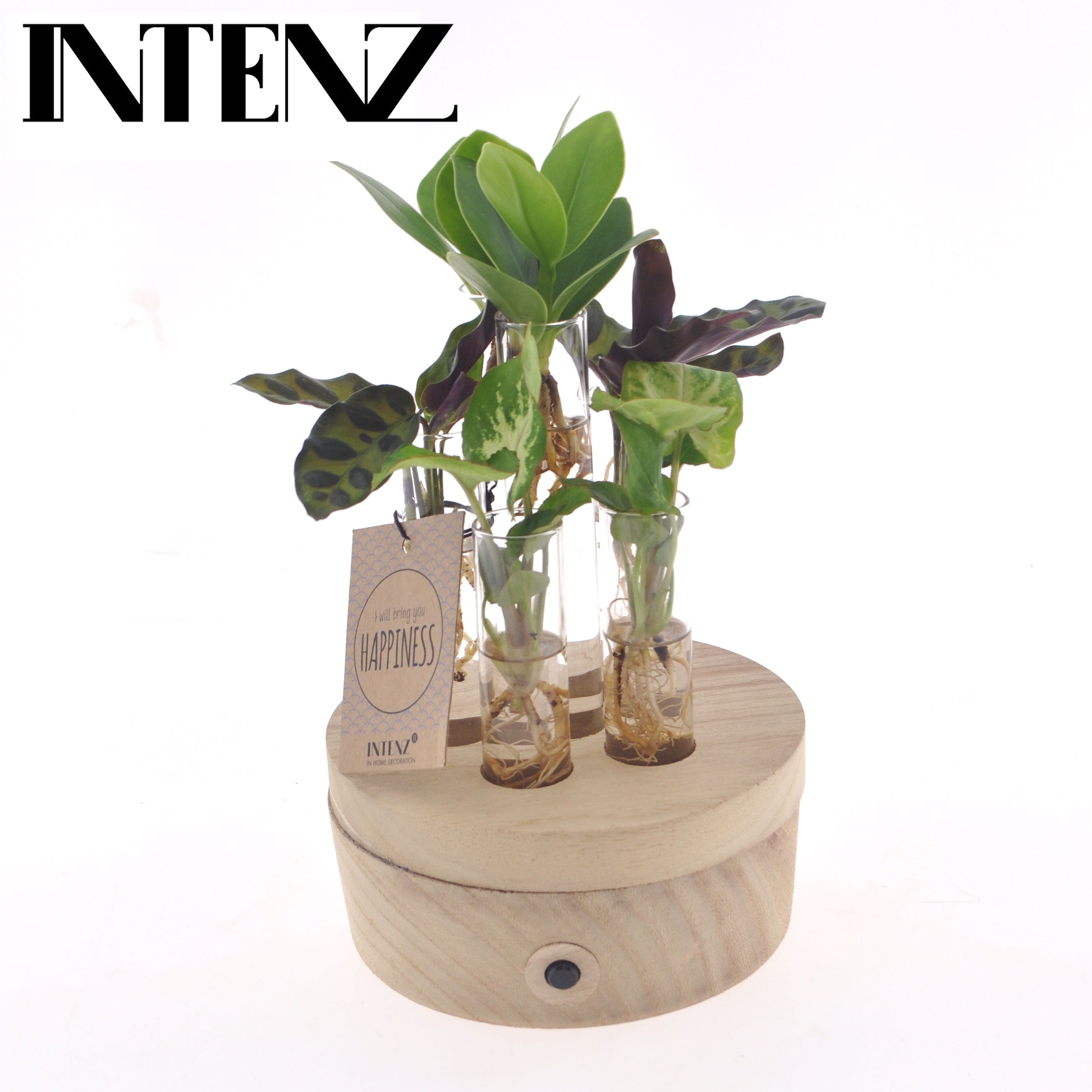 Intenz mix in New York, D 12