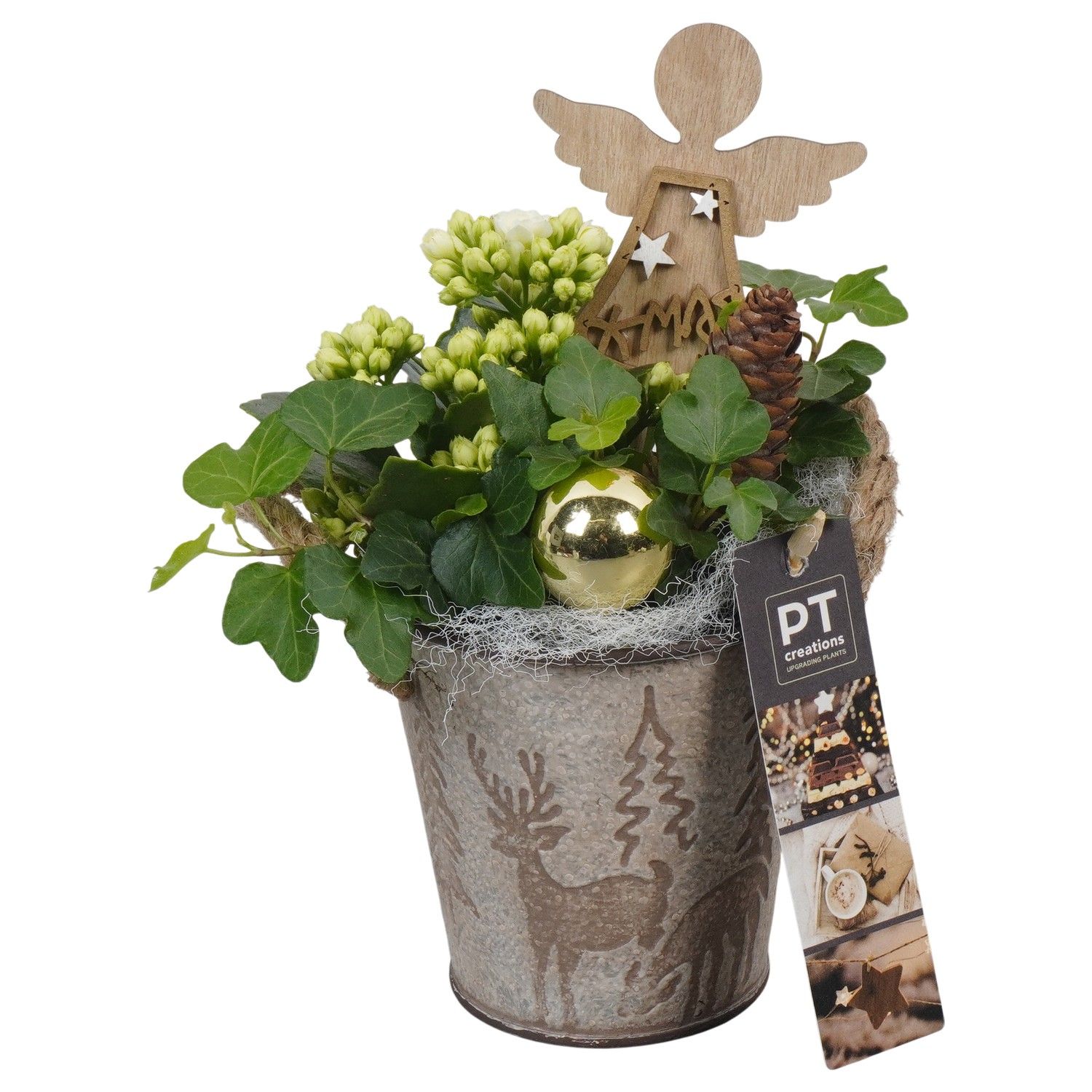 PTCHG5666 Arrangement Christmas Gold in metaal pot, D 10 cm