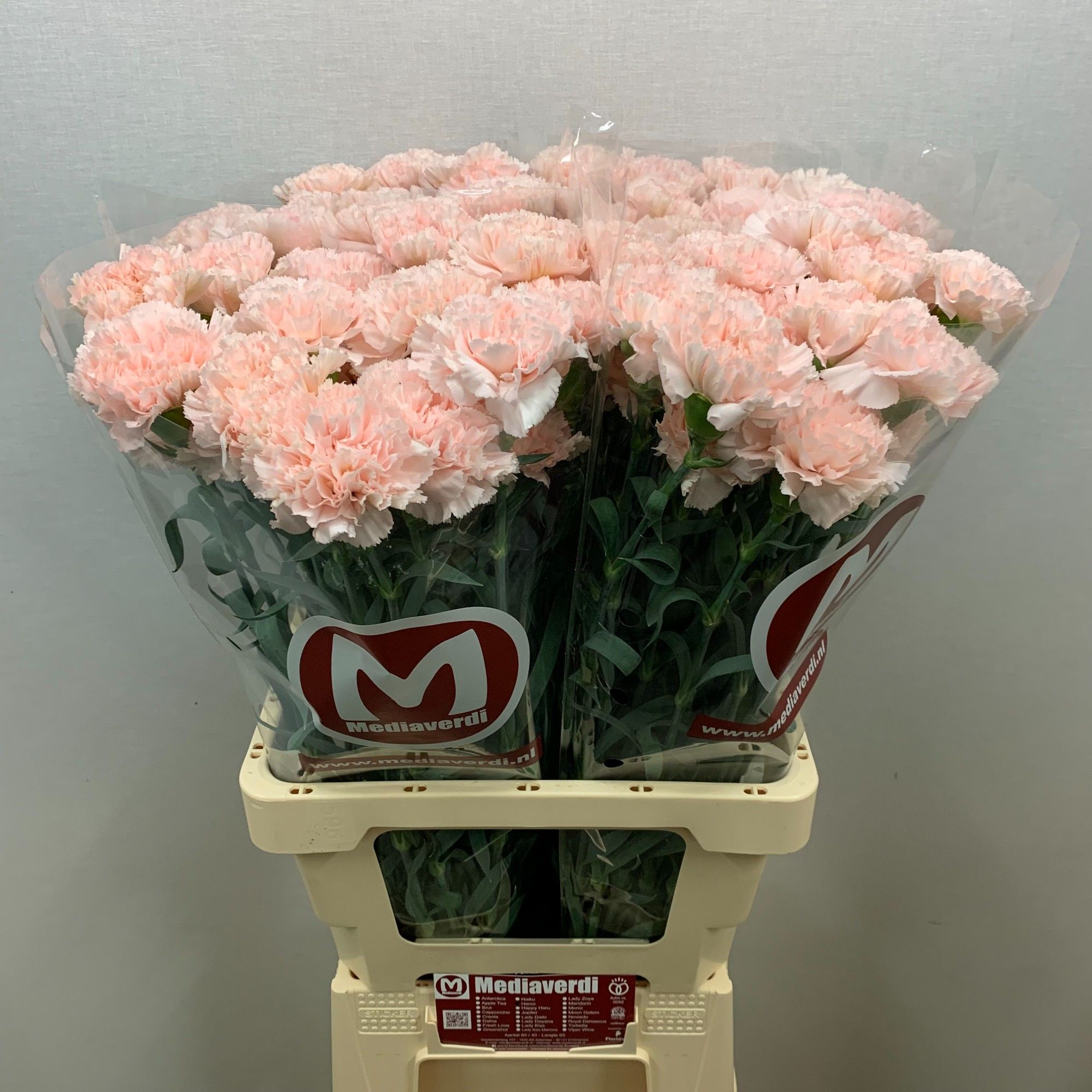 Диантус од. Ханой (светло-роз.), шт.