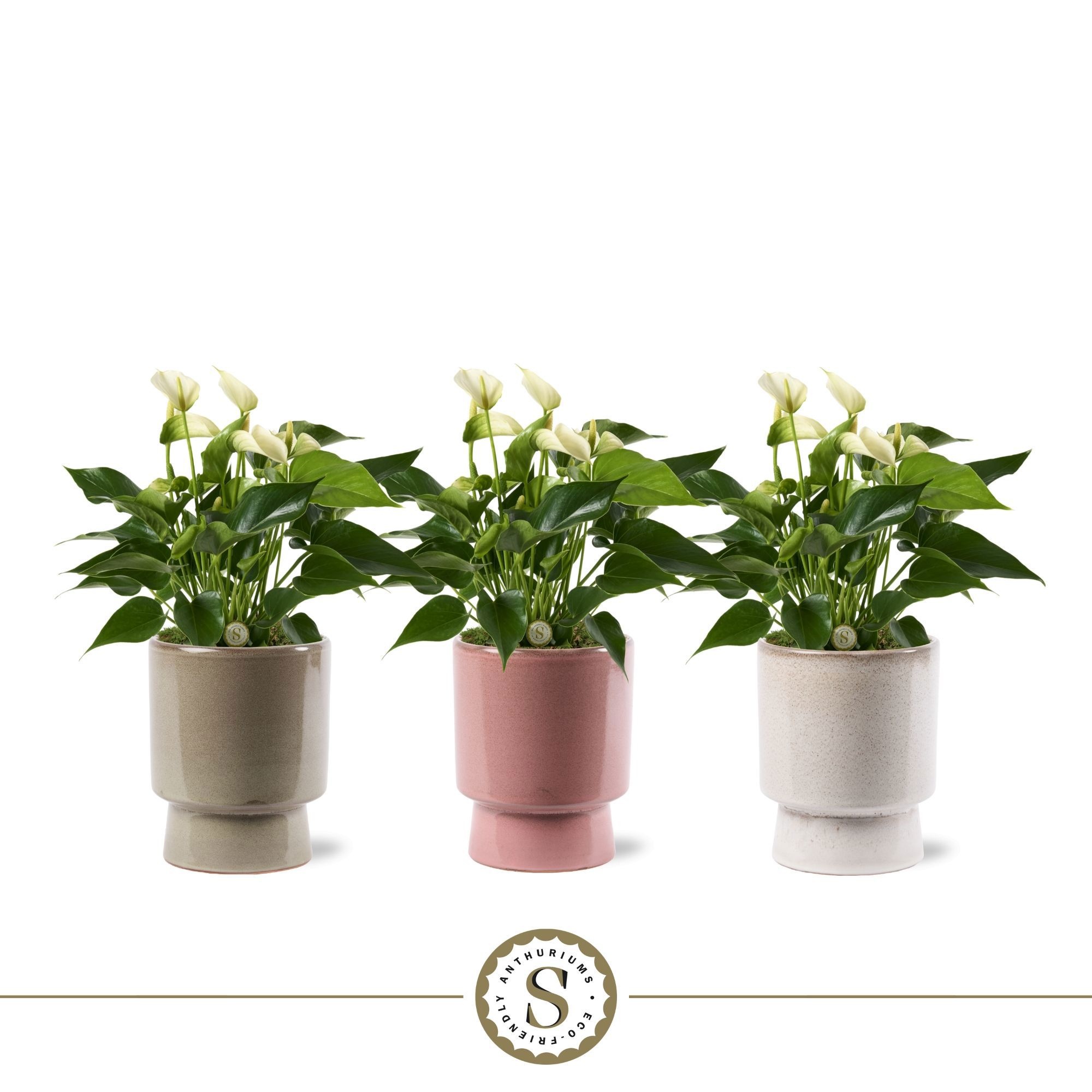 Toulouse Keramiek White, D 12