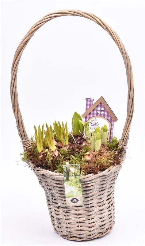 Wilg hengslemand 19cm, D 24