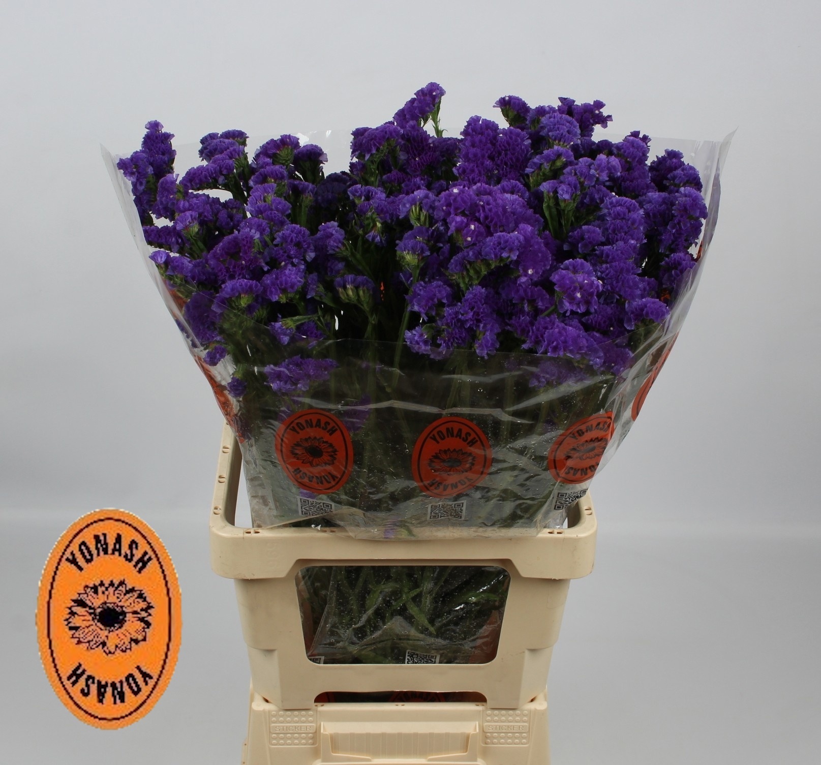 Статица Кристал Дарк Блю 75, шт.