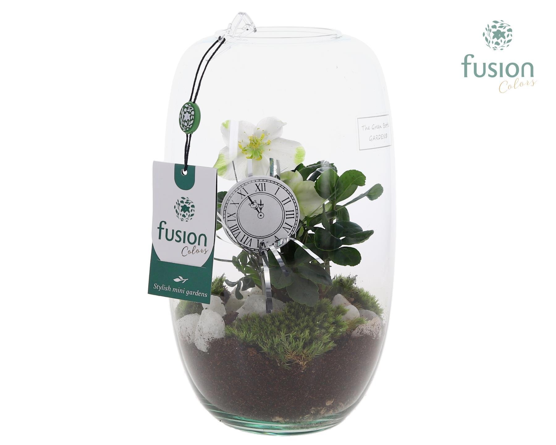 Green Bottle Isabella Medium met Helleborus, D 15 cm Green Bottle Isabella Medium met Helleborus, D 15 cm