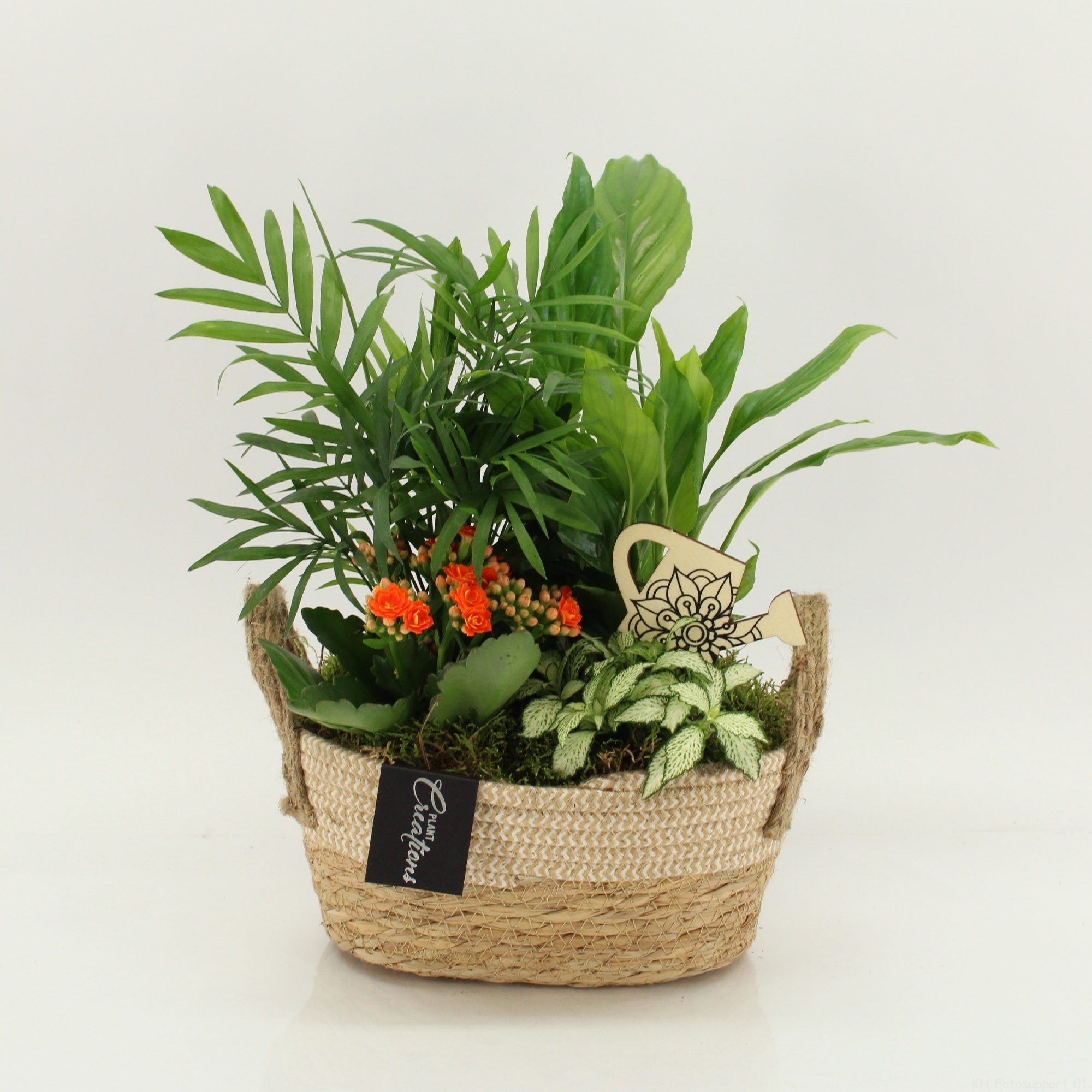 FDCR-2618OR Basic Fundamentals, D 24