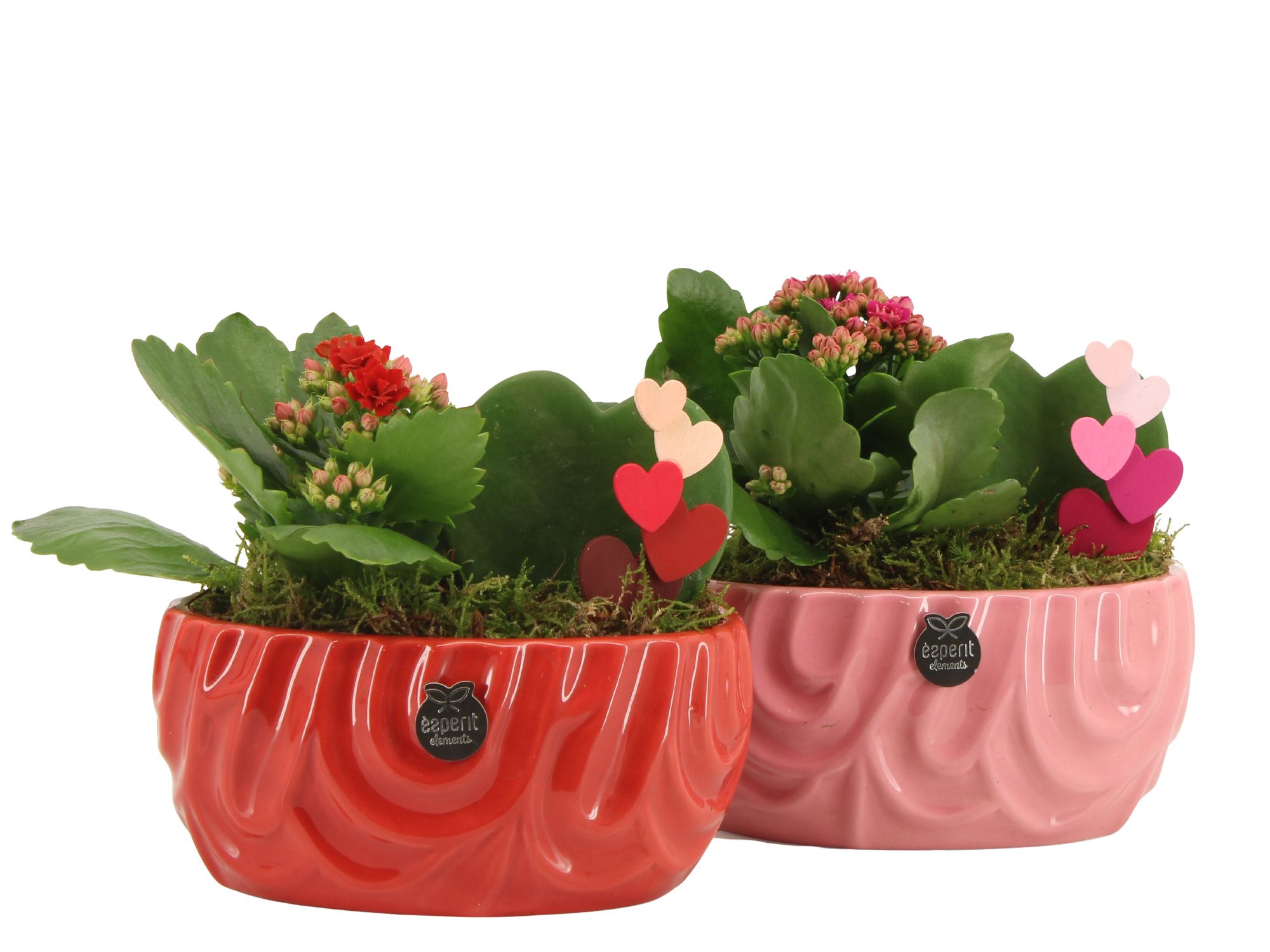 21811: Lovess arrangement, D 17