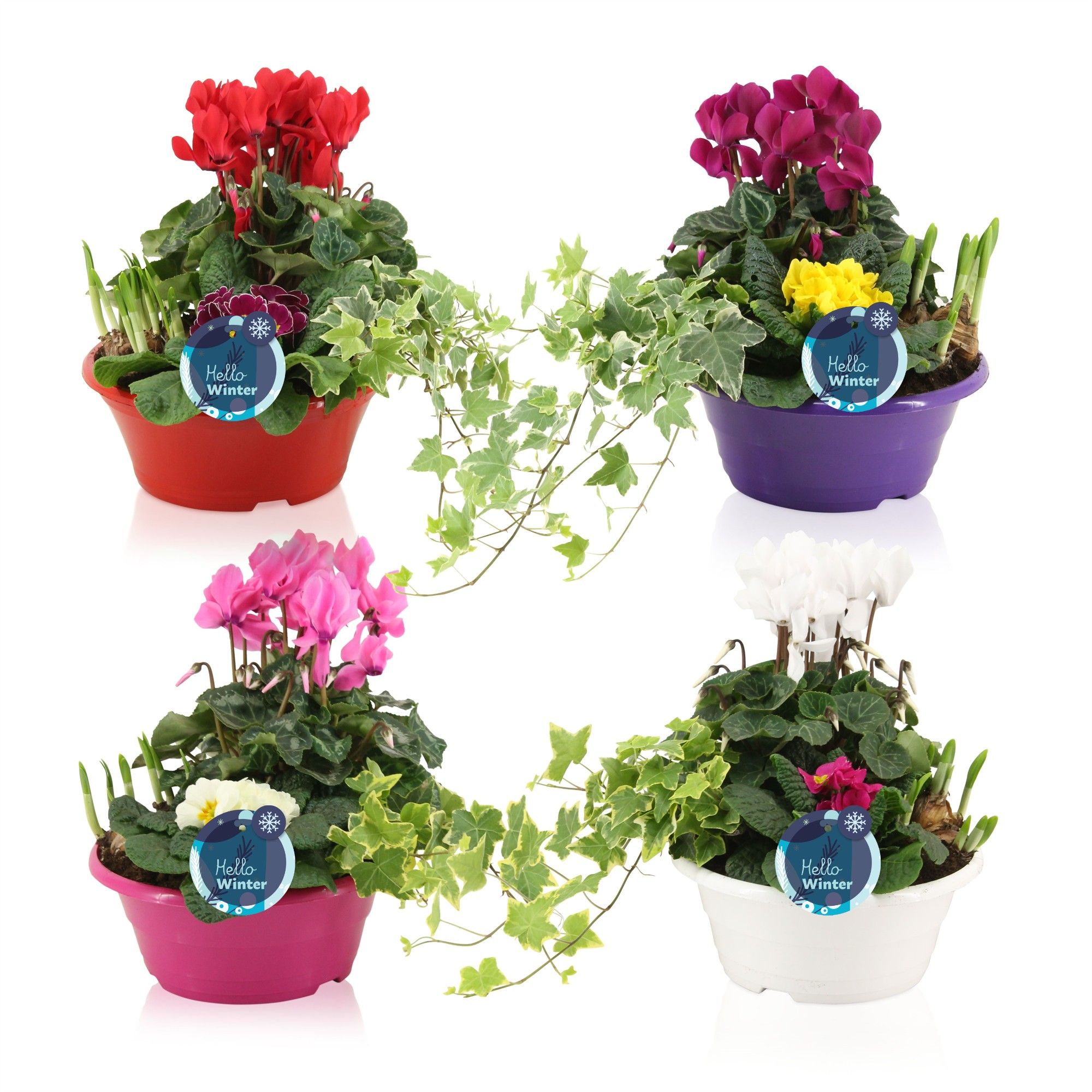 Winter trio in schaal 'Snow', D 23