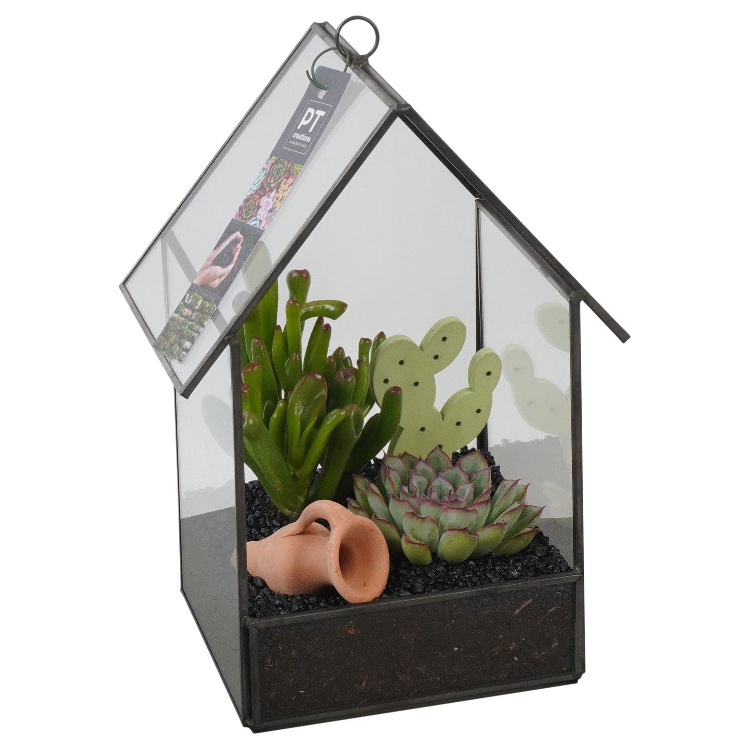 PTSU8403 Arrangement Succulenten in glazen huis, D 16