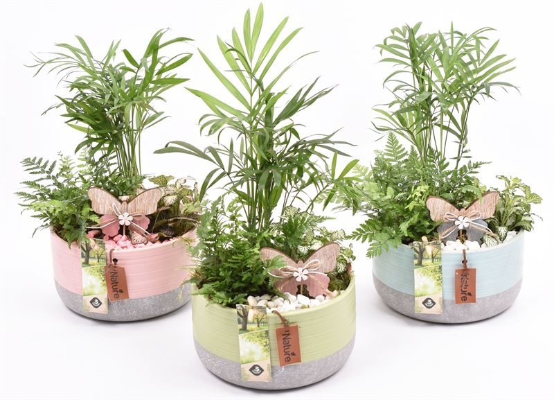 Keramiek schaal kl.mix label 17cm, D 17