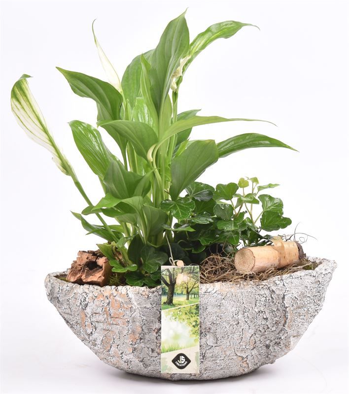 Cement kano old look 25x10cm, D 25