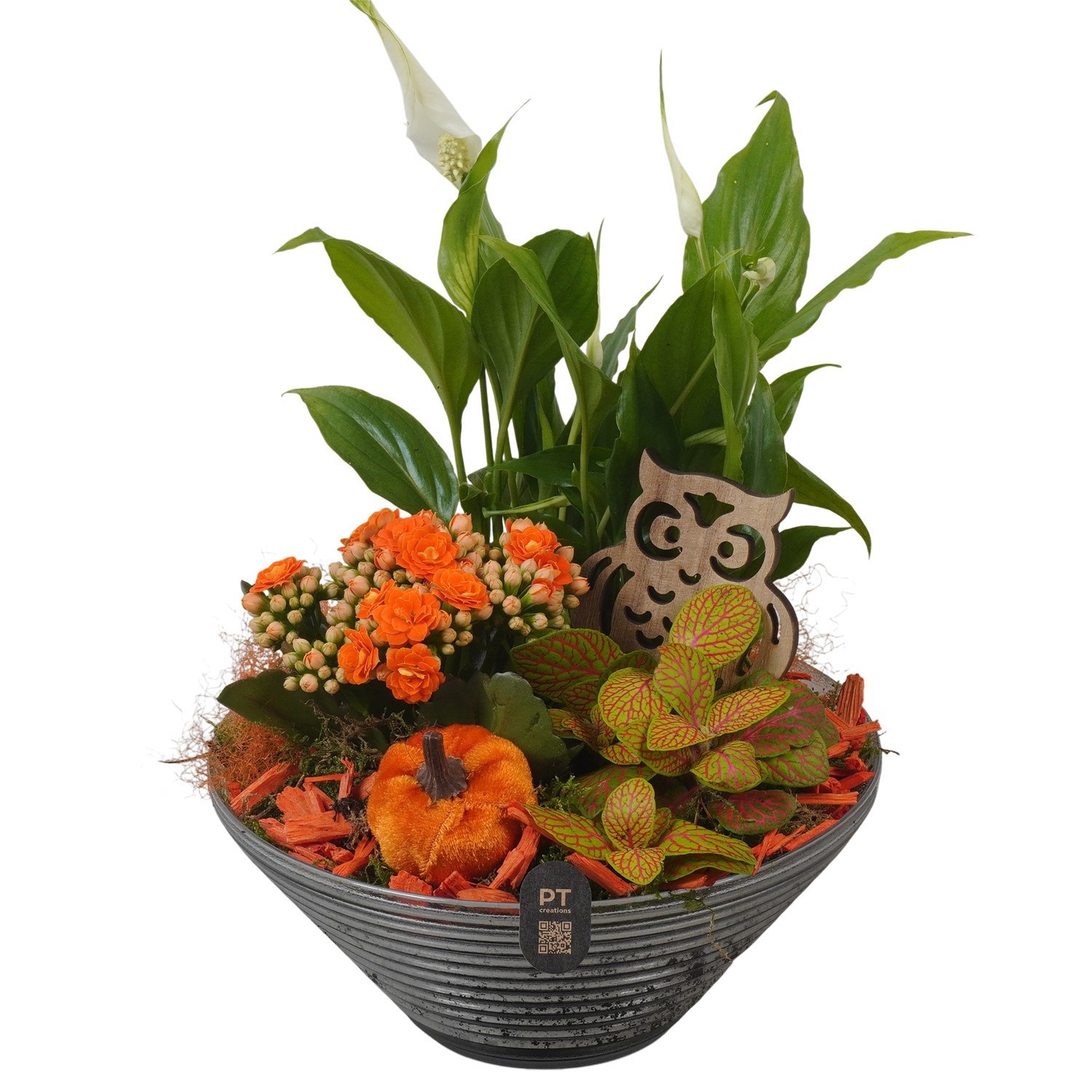 PTHG8259 Arrangement Autumn Glass in glas schaal, D 19