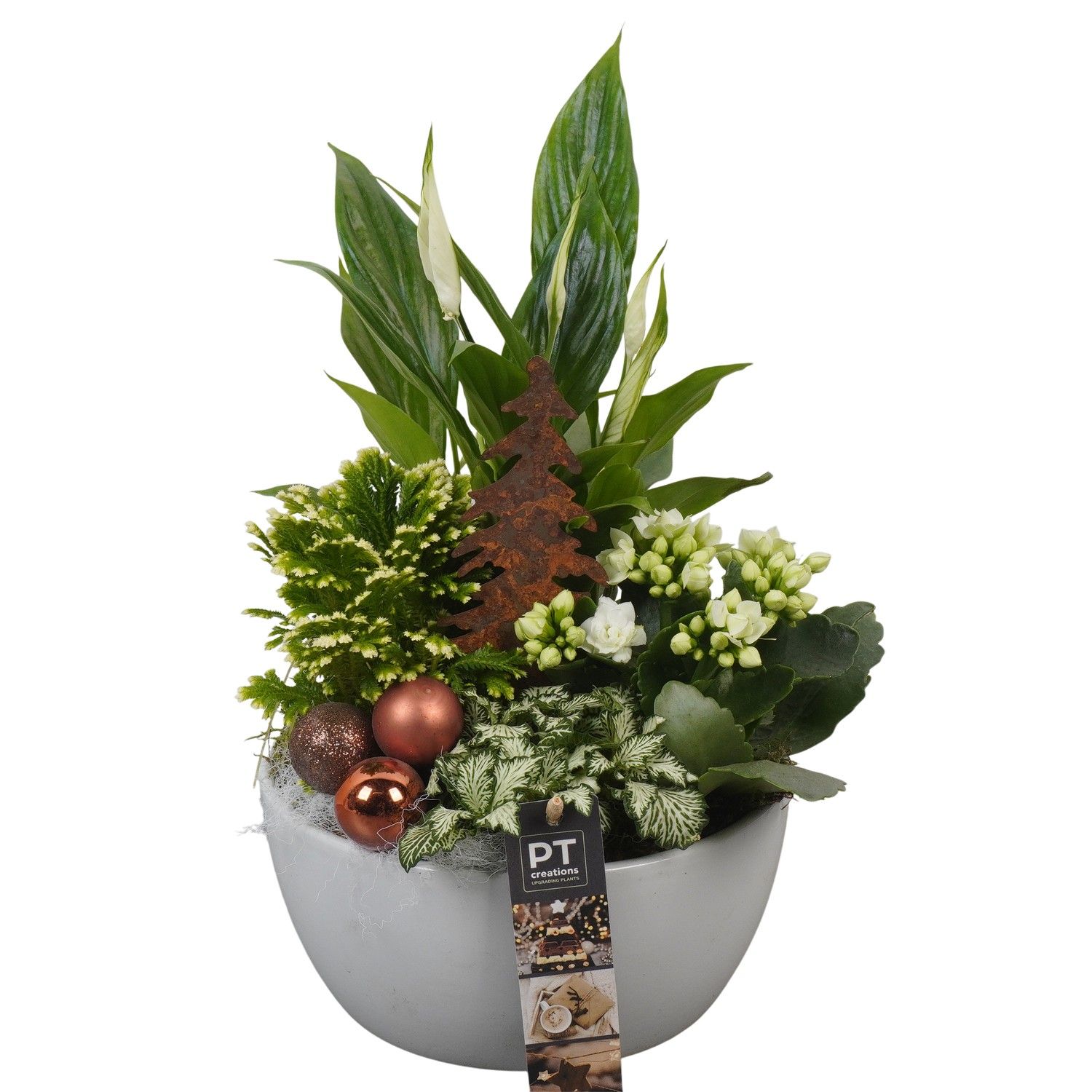 PTCHB9751 Arrangement Christmas Bronze in keramiek schaal, D 18 cm