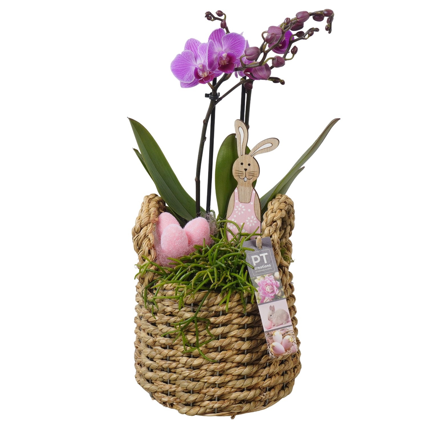 PTPB6566 Arrangement Easter in rieten mand, D 15