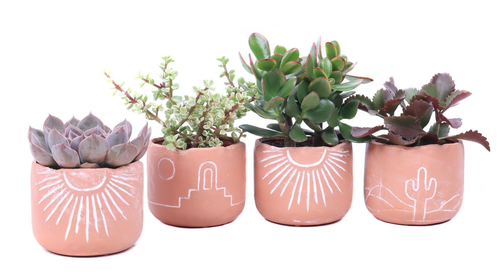 Succulent mix 10,5 cm in Merzouga keramiek, D 12