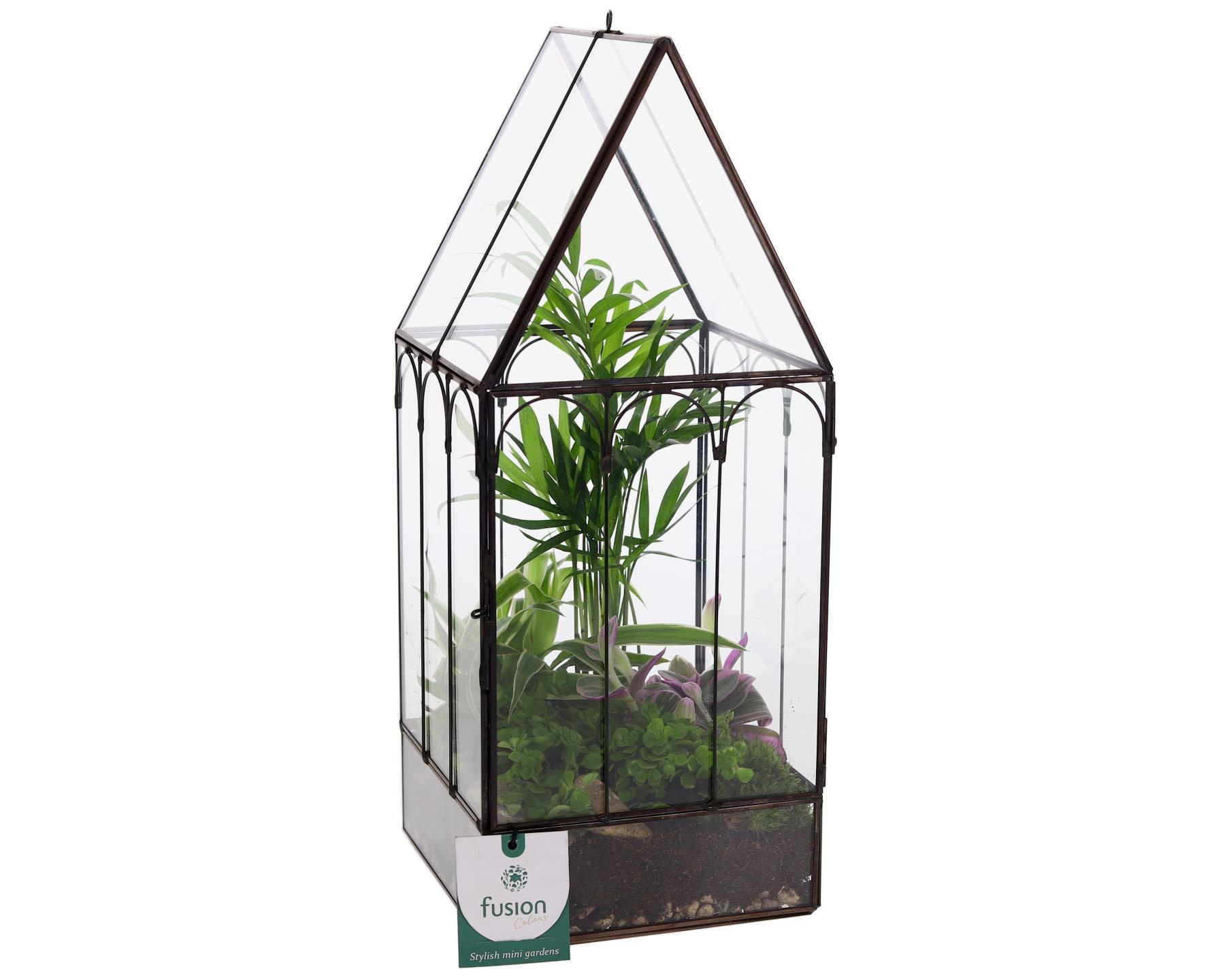 Metaal Geometrisch Huis planter Small met Terrarium arrangement, D 15