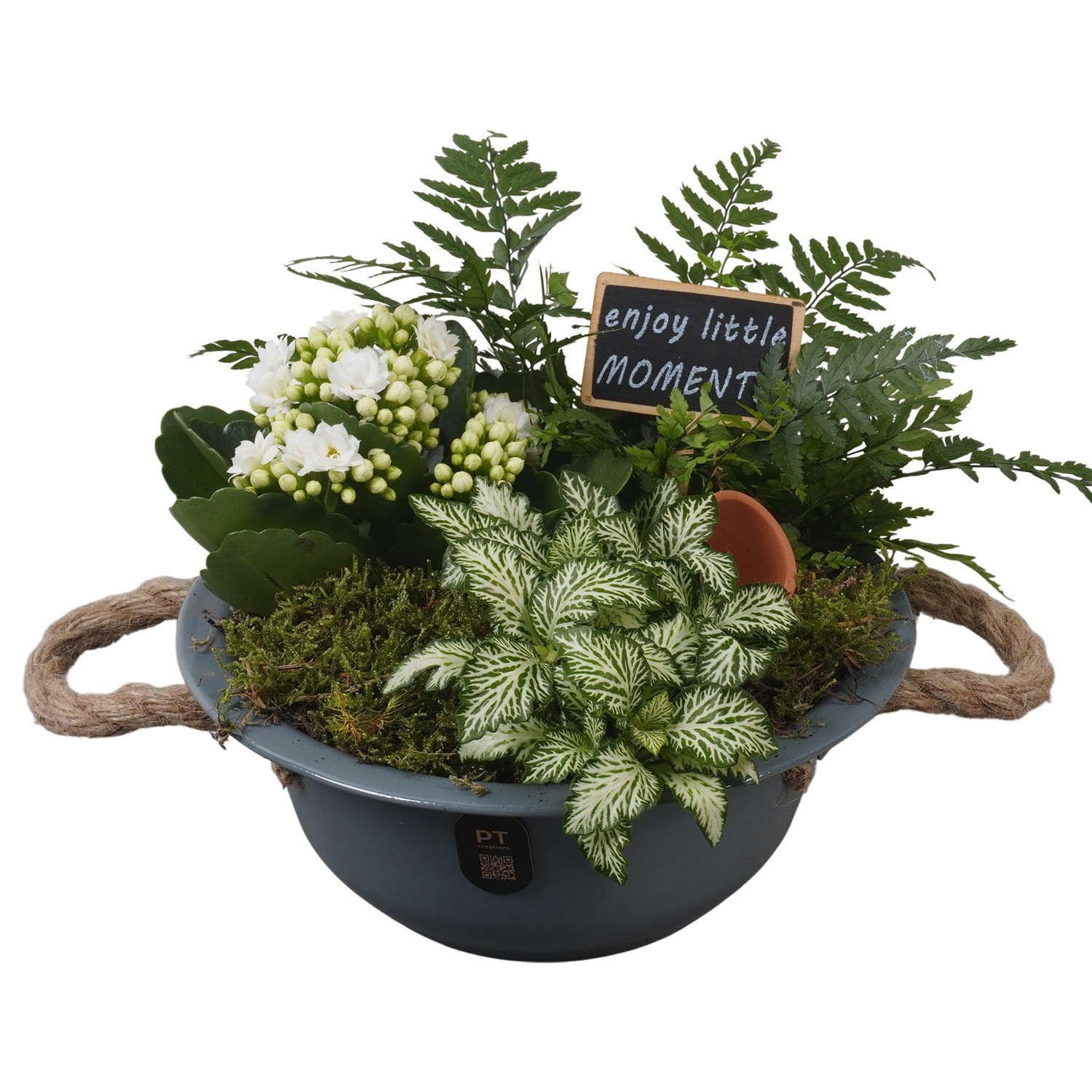 PTIB5318 Arrangement Indoor in metalen schaal, D 18