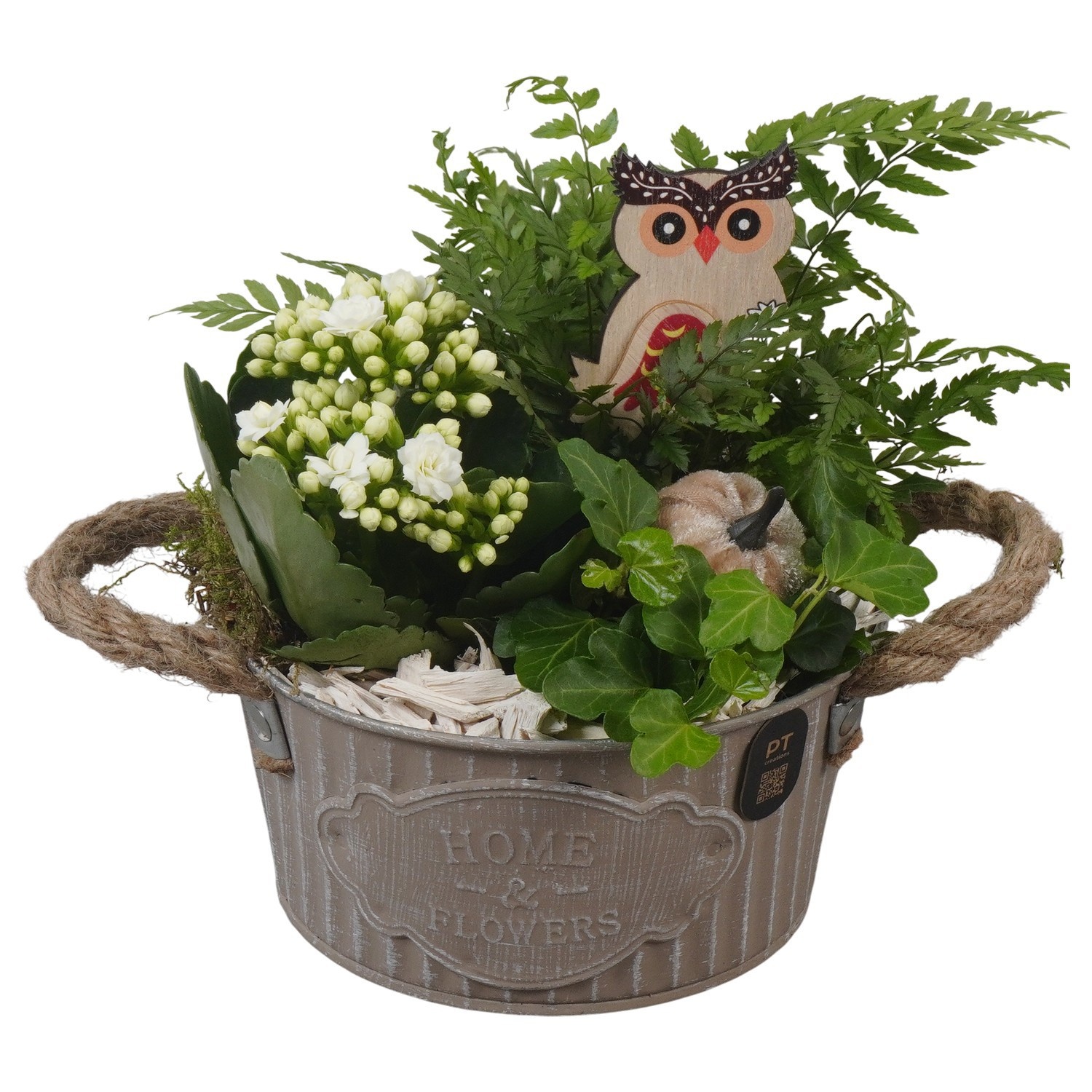 PTHI3404 Arrangement Autumn Indoor in metalen pot, D 16