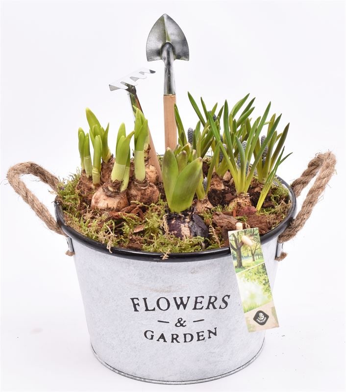 Zink teil Flowers & Garden 22cm, D 22 cm