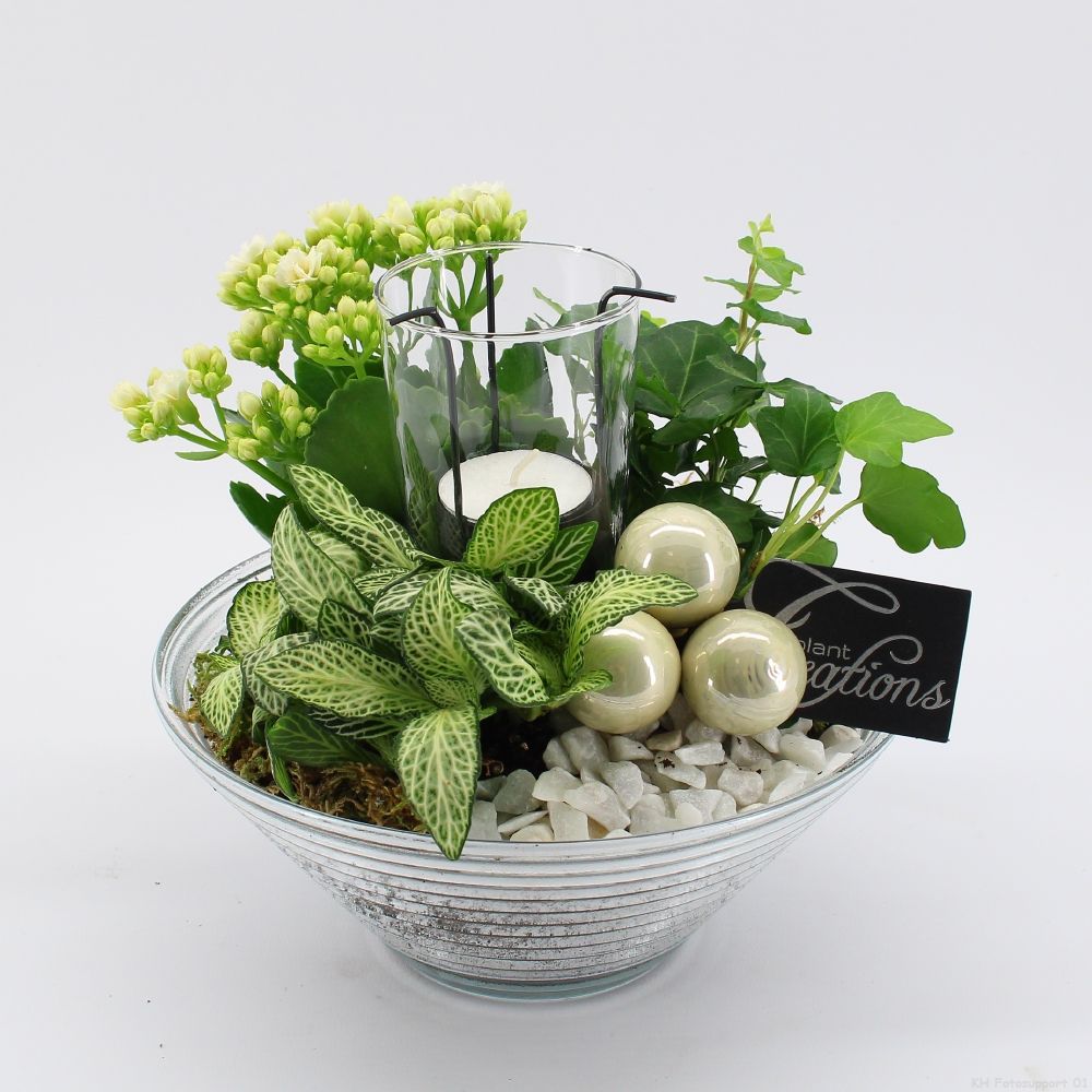 ADV-2512WG Advent creatie, D 20 cm