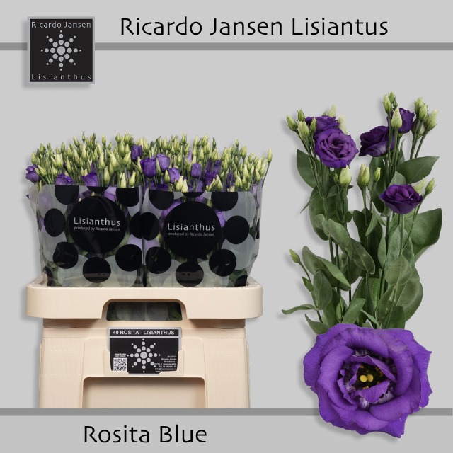 Эустома Розита Блю 70 (син.), шт.