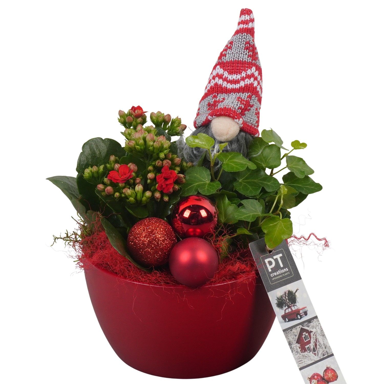 PTCHR7226 Arrangement Christmas Red in keramiek schaal, D 14 cm
