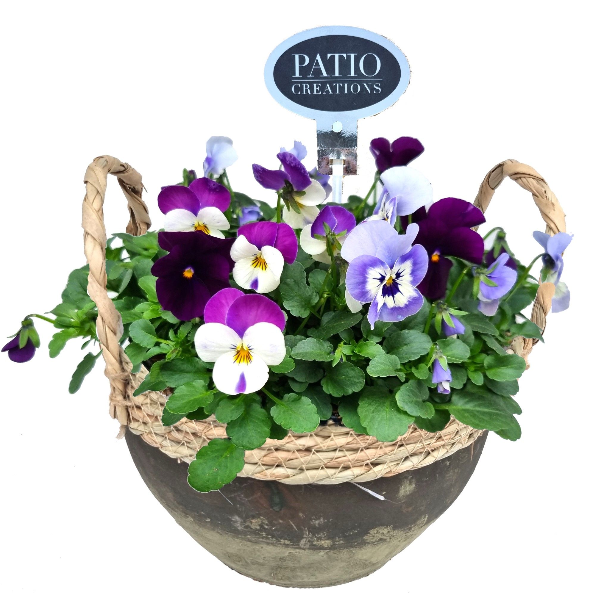 V797-9323 Viola Hannah terracotta/green, D 24