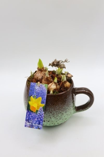 Bollen, luxe keramiek kop M, D 15