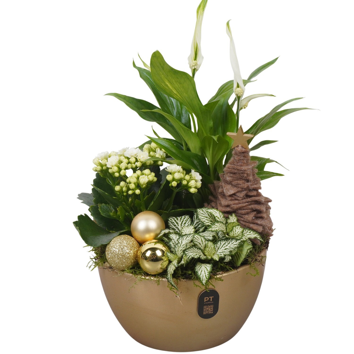PTCHG4678 Arrangement Christmas Gold in keramiek schaal, D 16