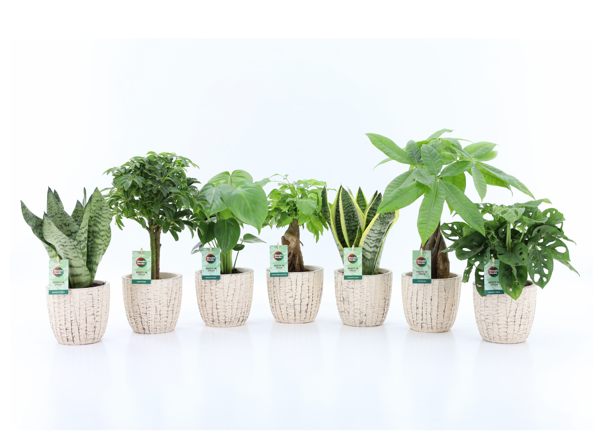 Easy to Care Mix in Sculpture keramiek, D 13