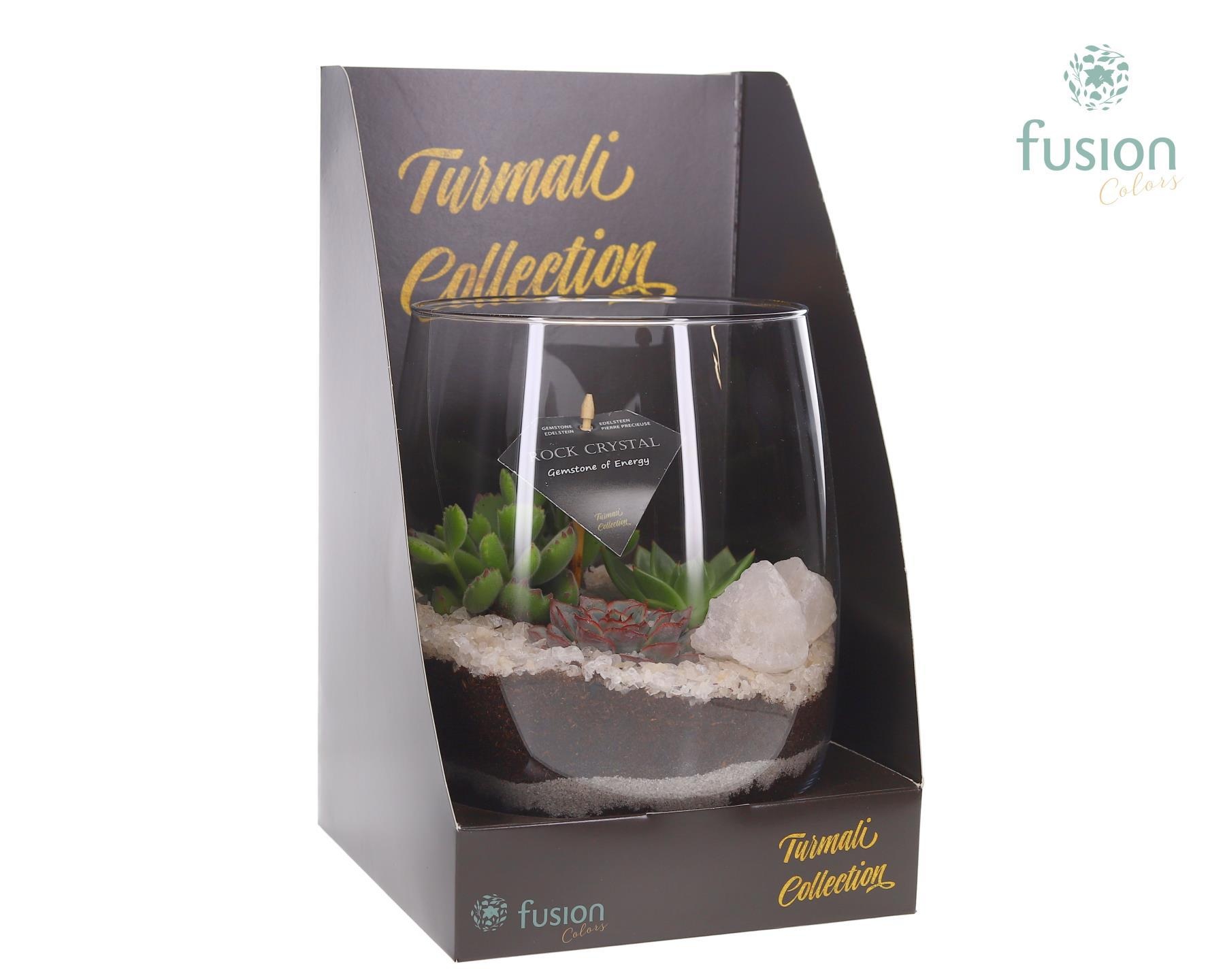 Glazen vaas Turmali Collection edelstenen met Succulent. Incl. Showdoos, D 20