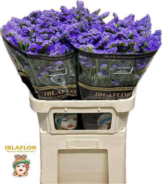 Статица Скай Бердс 80, шт.