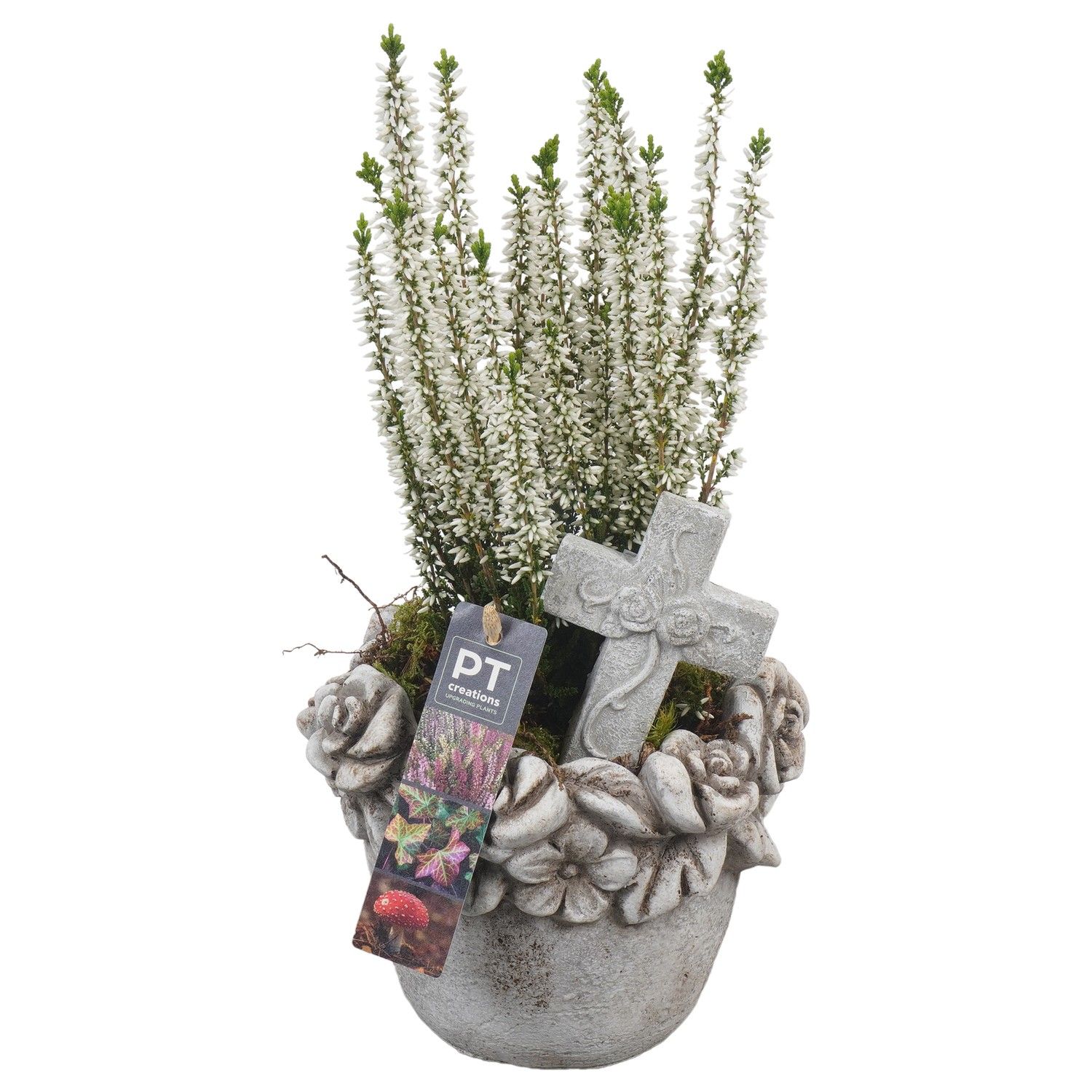 PTAH8625 Arrangement Allerheiligen in beton pot, D 16 cm PTAH8625 Arrangement Allerheiligen in beton pot, D 16 cm