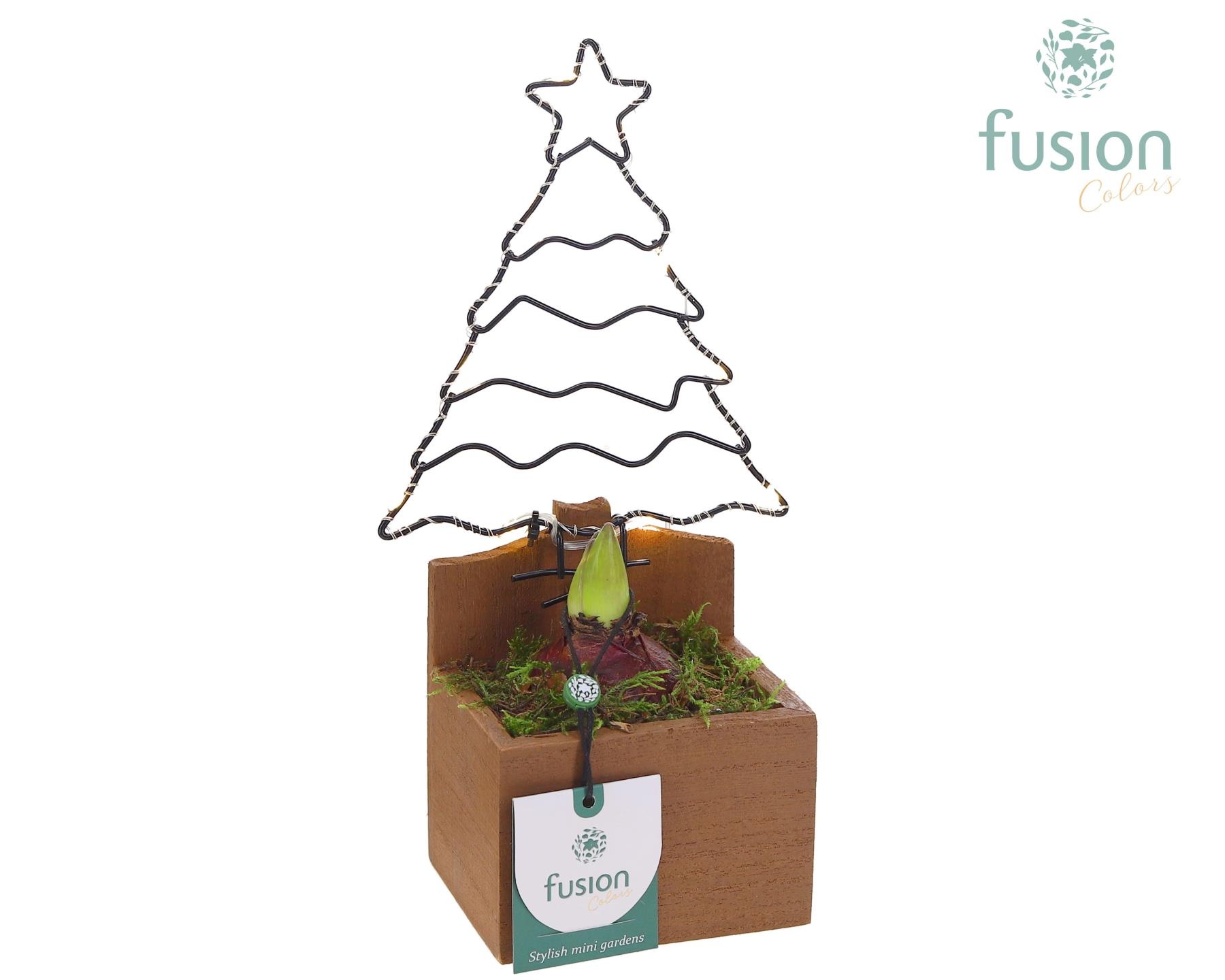 Kerst planter hout Kerstboom met verlichting en Hyacinthus, D 13