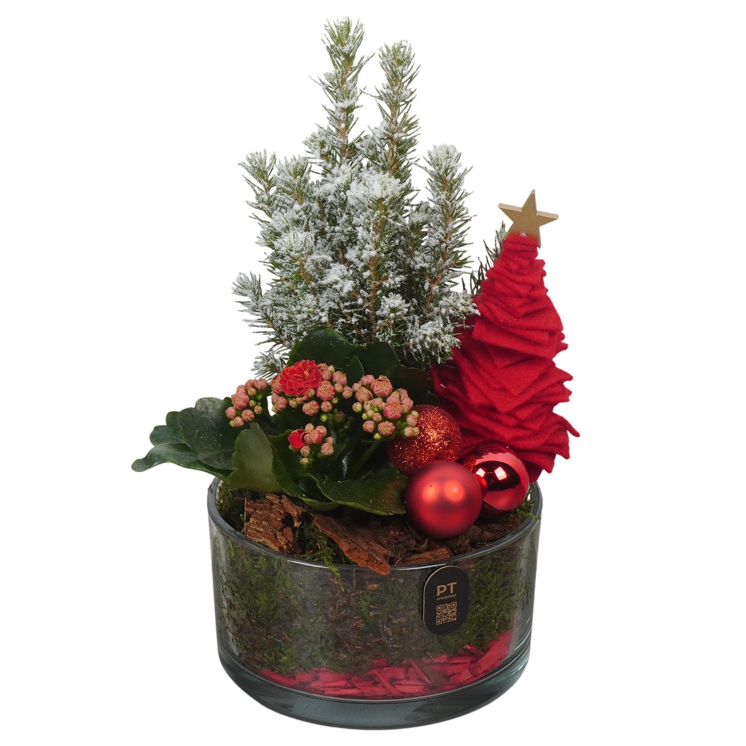 PTCHR9513 Arrangement Christmas Red in glas schaal, D 14