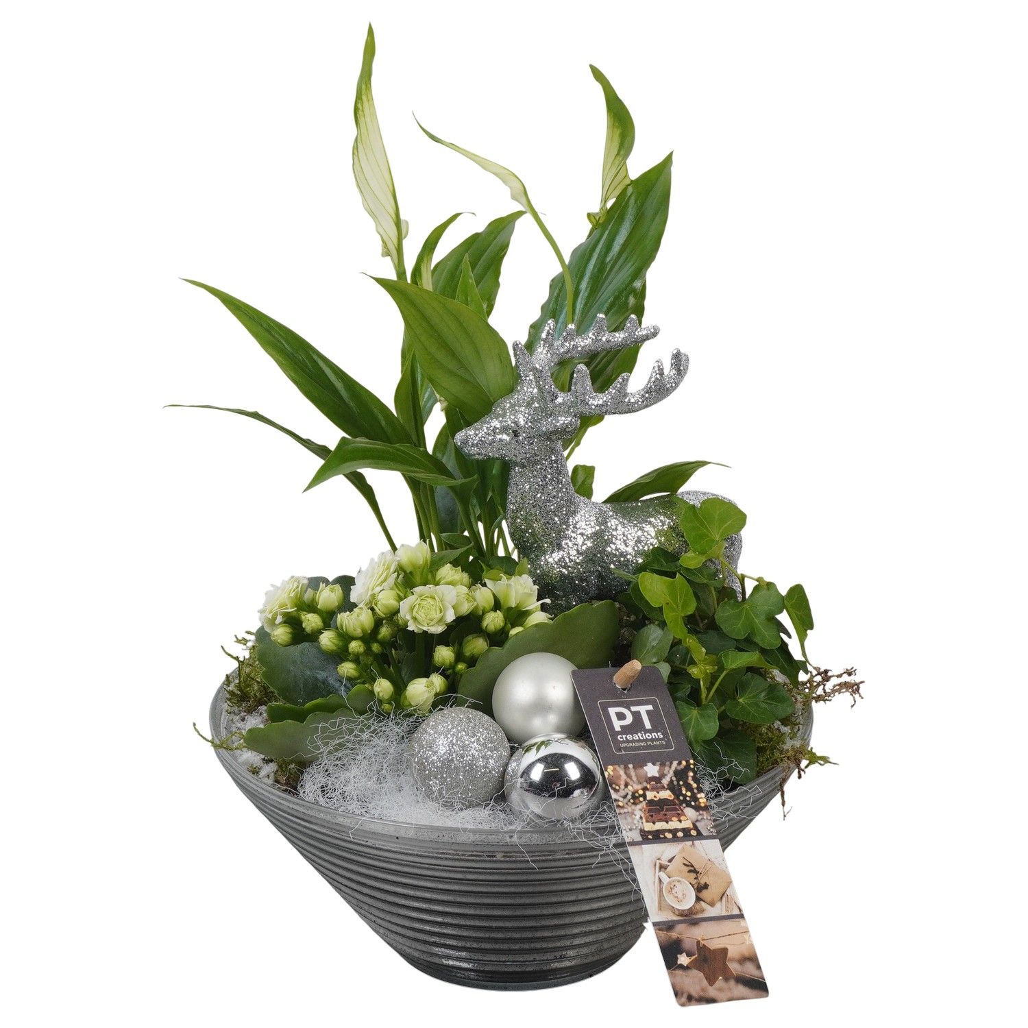 PTCHW4354 Arrangement Christmas White in glas schaal, D 19 cm