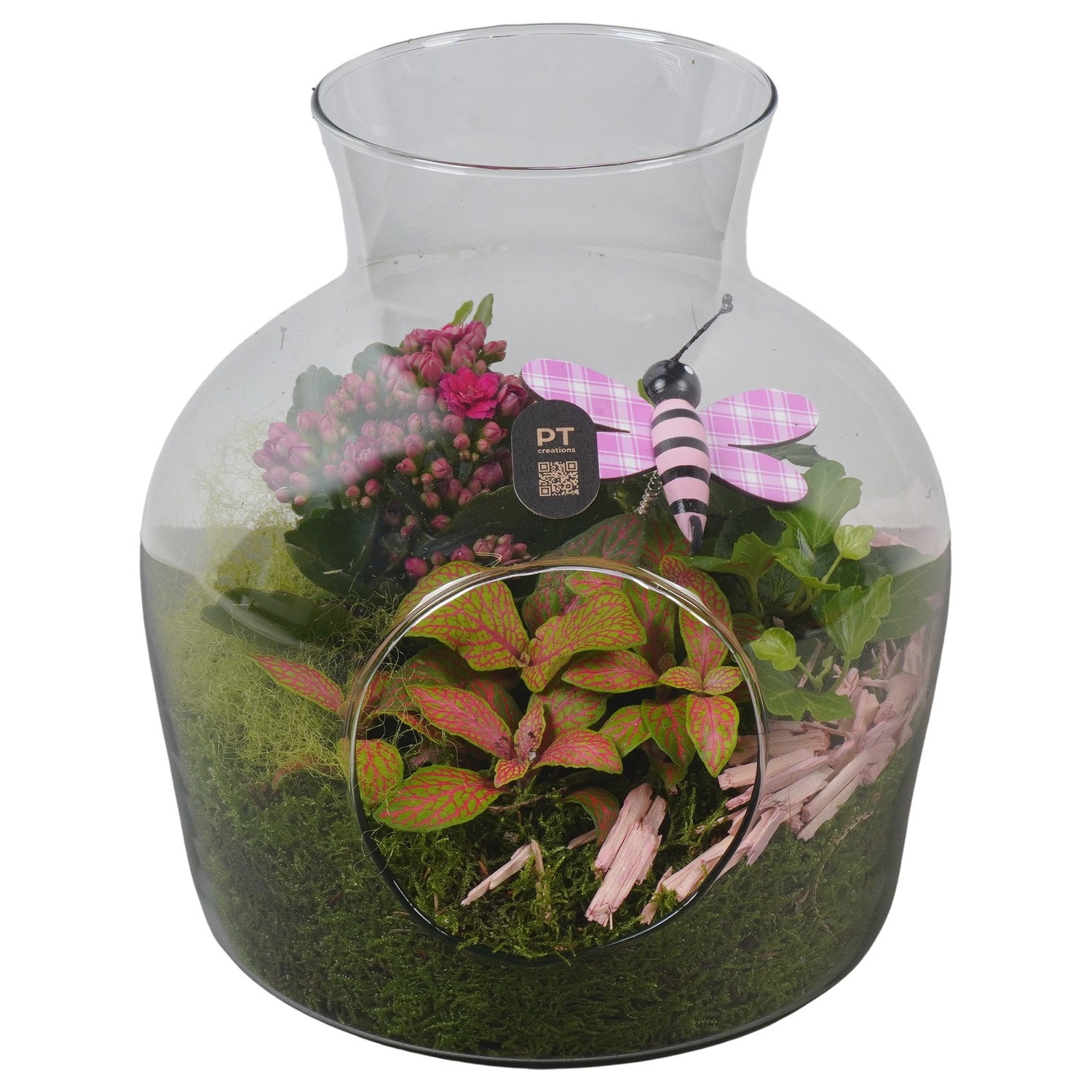 PTIG2637 Arrangement Indoor in glazen vaas, D 19