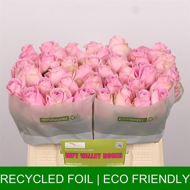 Роза од. Хайди 35, шт.