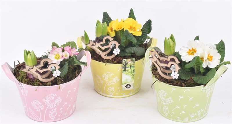 Zink schaal decor mix kl 15.5cm, D 16