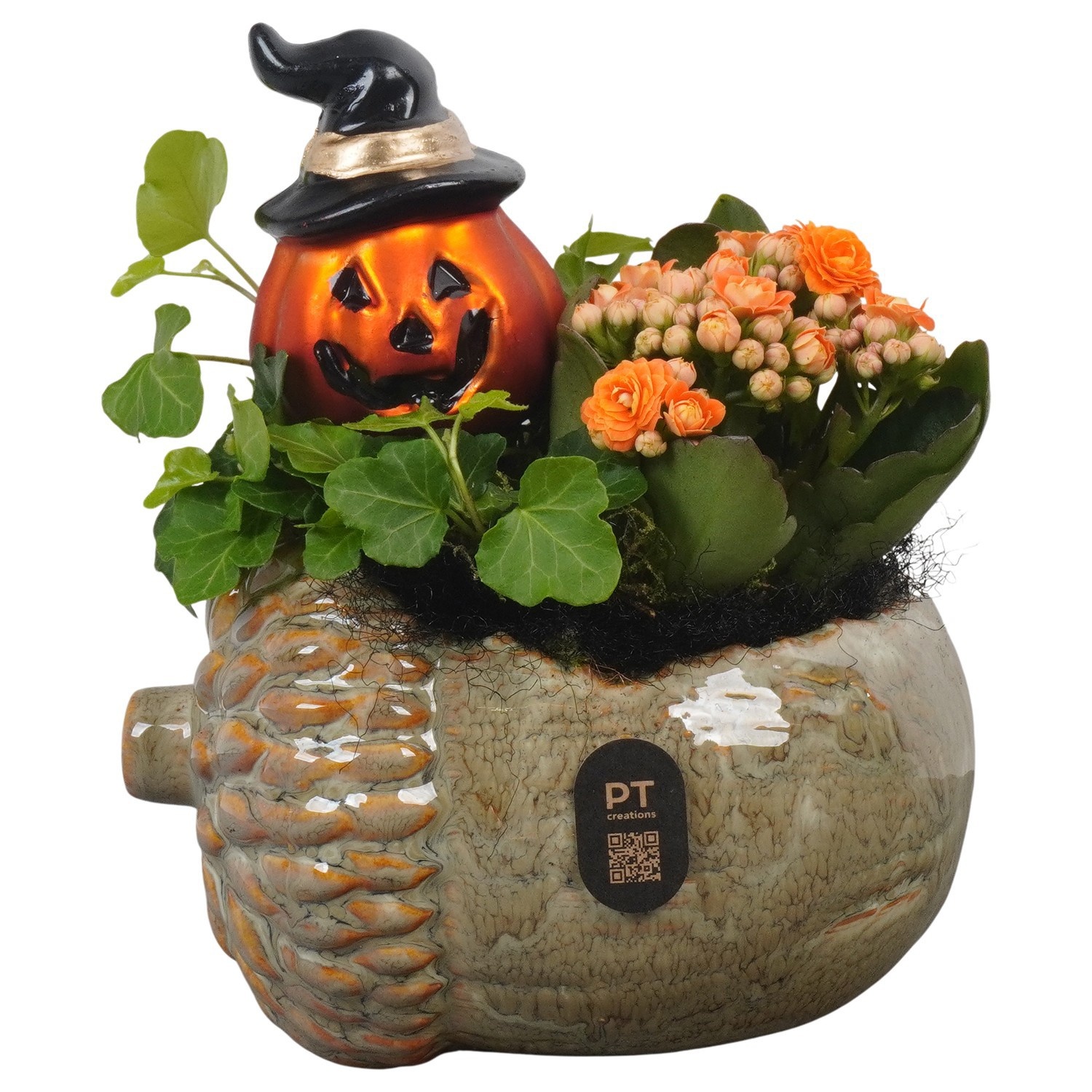 PTHL3511 Arrangement Halloween in keramiek eikel pot, D 15