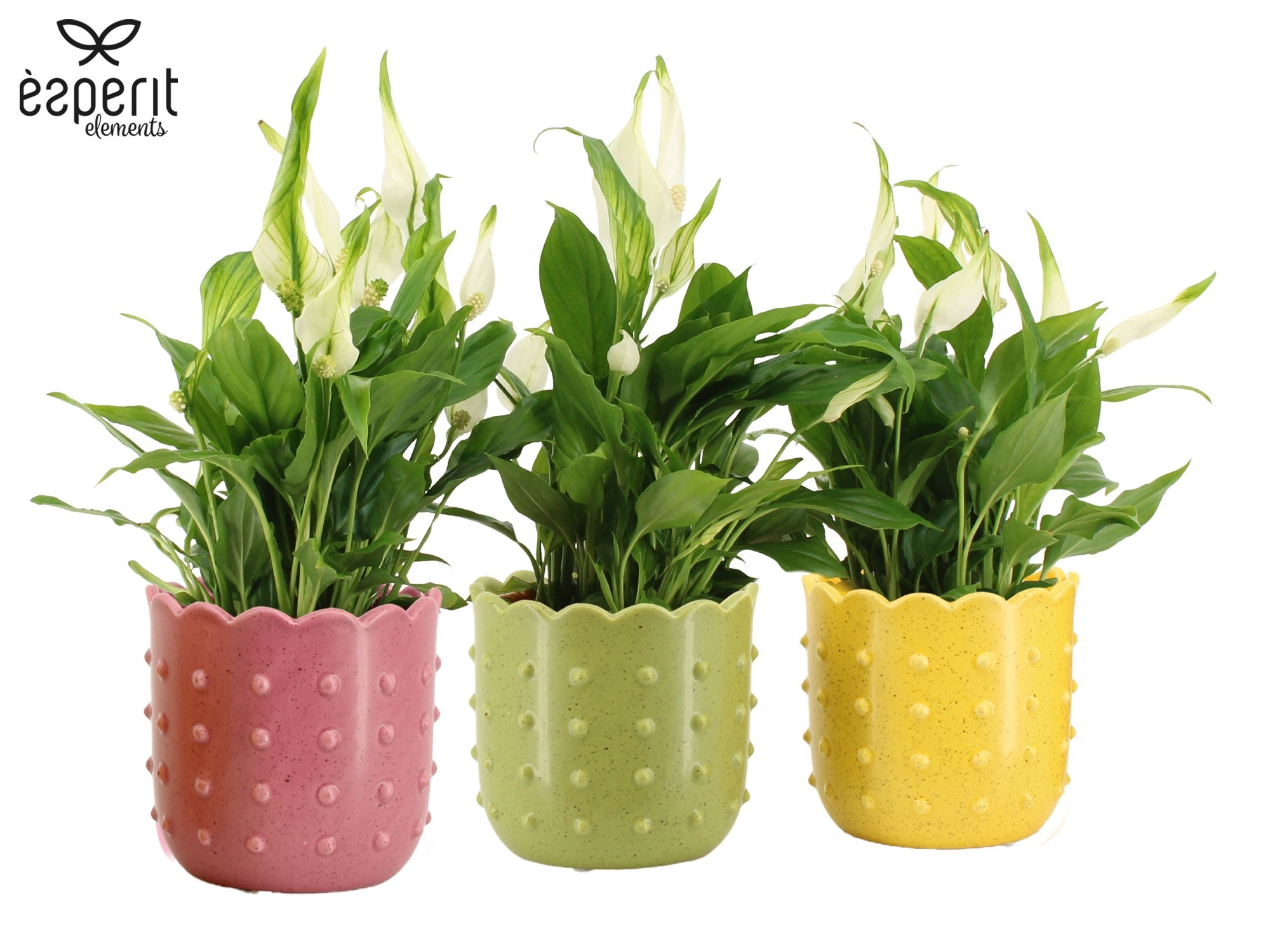 7503553: Solutionss Reinvention, D 10,5