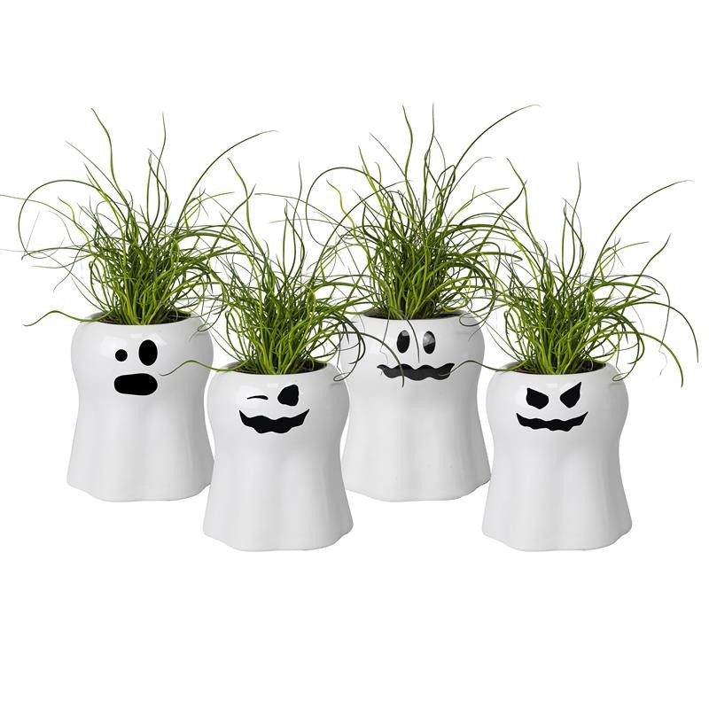 HALLOWEEN CERAMIC 779420 Boo Juncus, D 6
