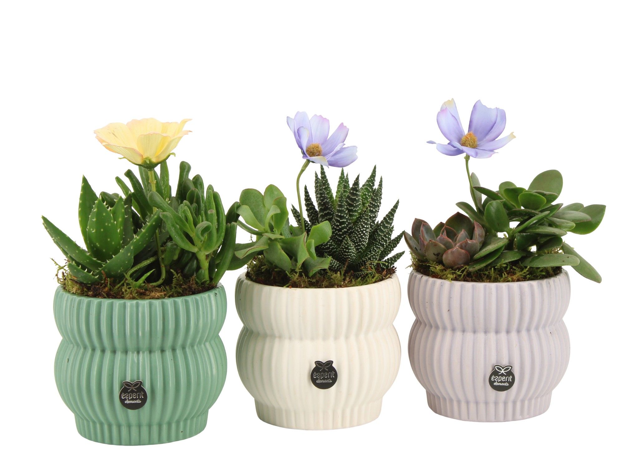 11564: Consideration arrangement, D 12