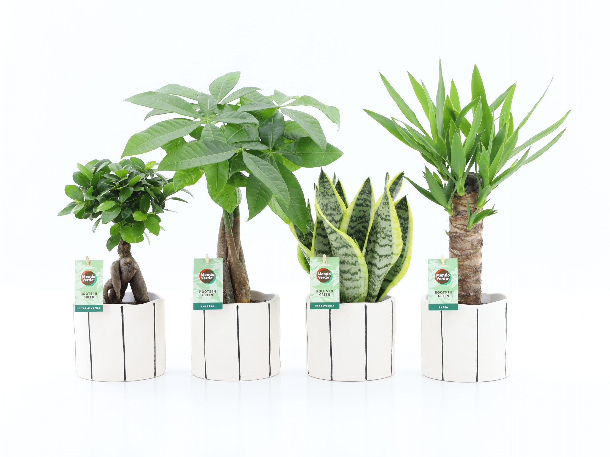 Amazone Mix in Banksy keramiek, D 13 cm