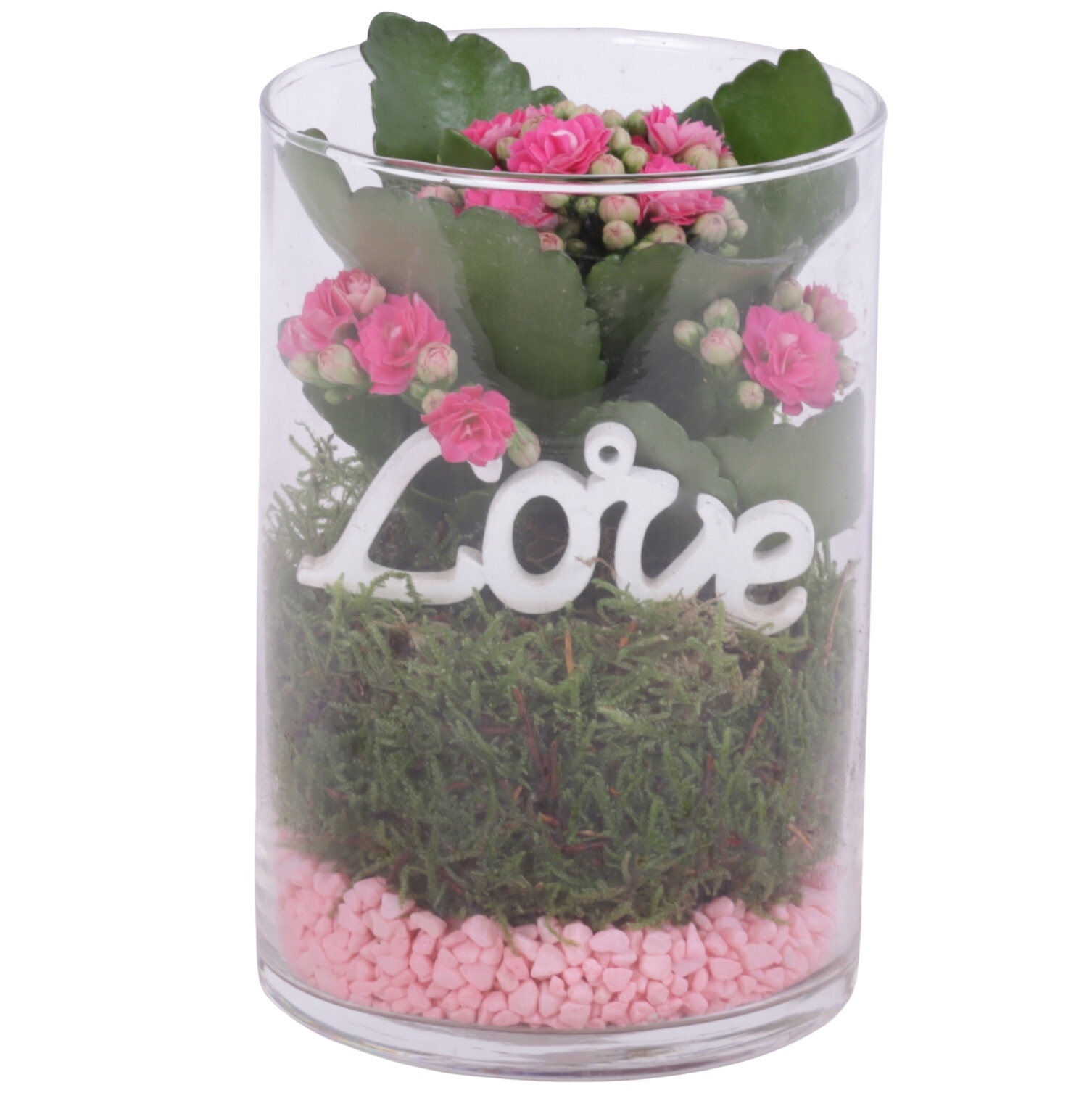 Womensday Arr. Indoor Glass Vase Cylinder Ø10cm 1PP, D 10